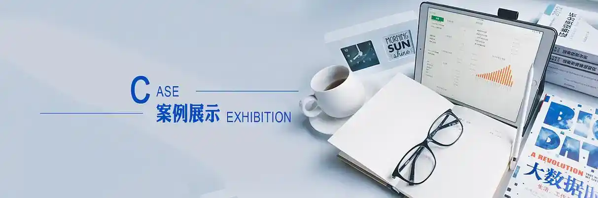 津南区软件开发